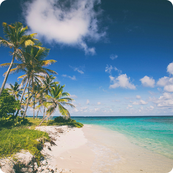 5 Schritte in die Karibik