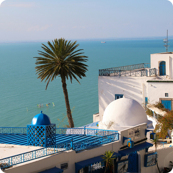 5 Schritte nach Tunesien