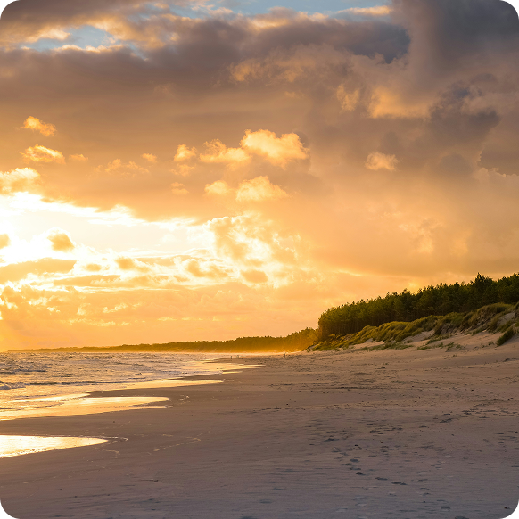 5 Schritte nach Norddeutschland