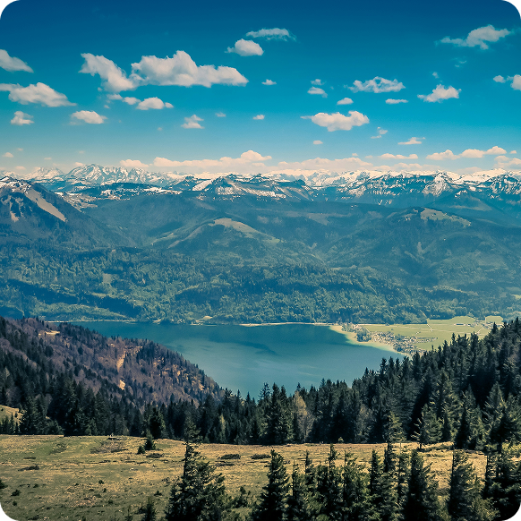 5 Schritte nach Österreich